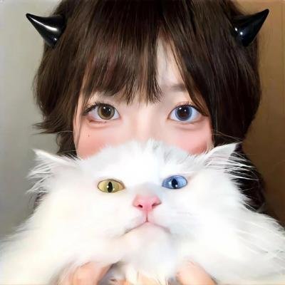 1983 板球世界盃